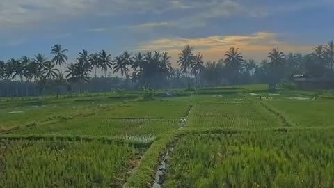 Beautiful Nature village - beautiful place for couple