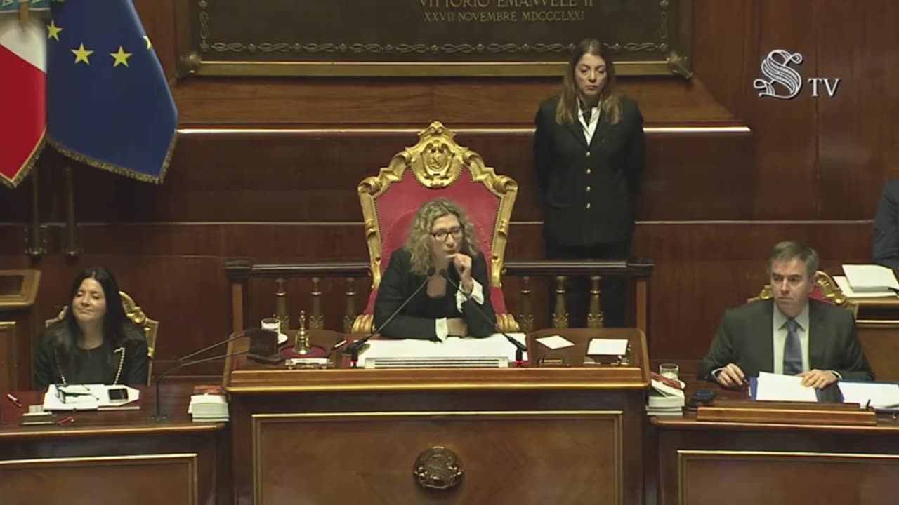 Romeo - Intervento in Senato (29.01.25)