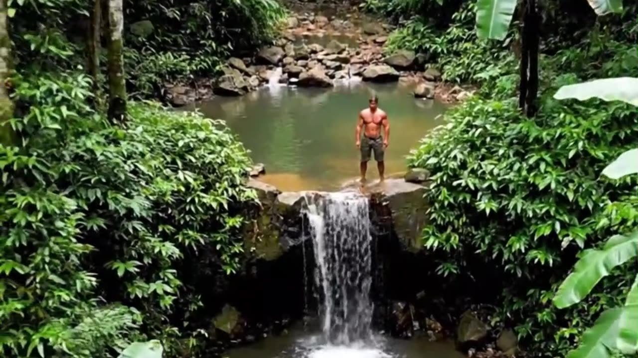 Primitive Technology