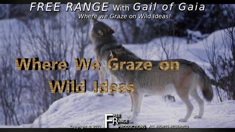 "How to Quiet the Mind : Finding Stillness in a Loud World"
