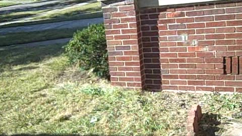 KITCHEN ON PENNINGTON ST ENJOY THE SHEA SHOW