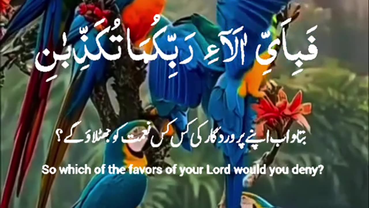 Mashallah Subahanallah 😍♥️✨