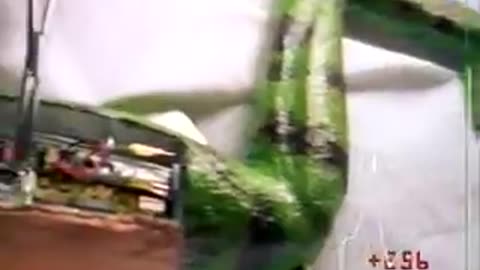 Frogger Commercial (1997)