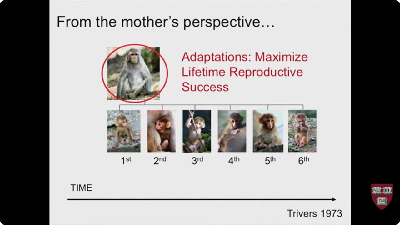 Why Mammals Suck: Evolutionary Biologist on Breastfeeding | Katie Hinde