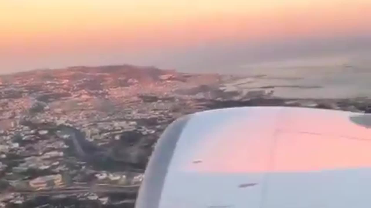 Flock of birds smash into a plane during takeoff from Algeria