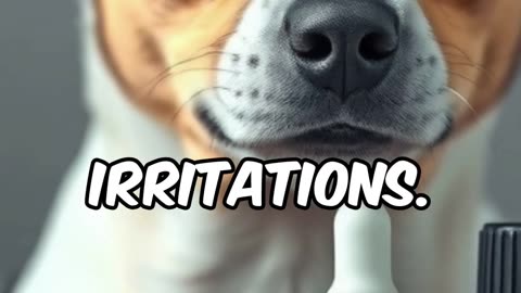 Aromatherapy For Pets: Natural Pet Care with Essential Oils!