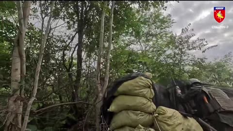 🌿💥 Myanmar War | All Burma Students' Democratic Front Battles Myanmar Military | RCF