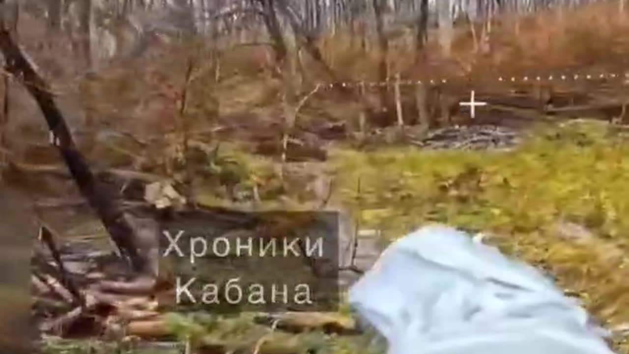 Daily hohols' slaughter🐷