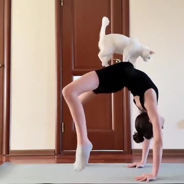 Cat Jumps on Lady During Yoga Session 🧘🐾