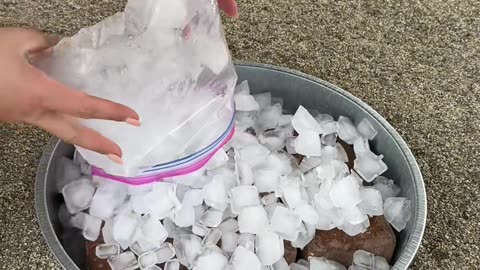 Keep your chickens safe from the heat!