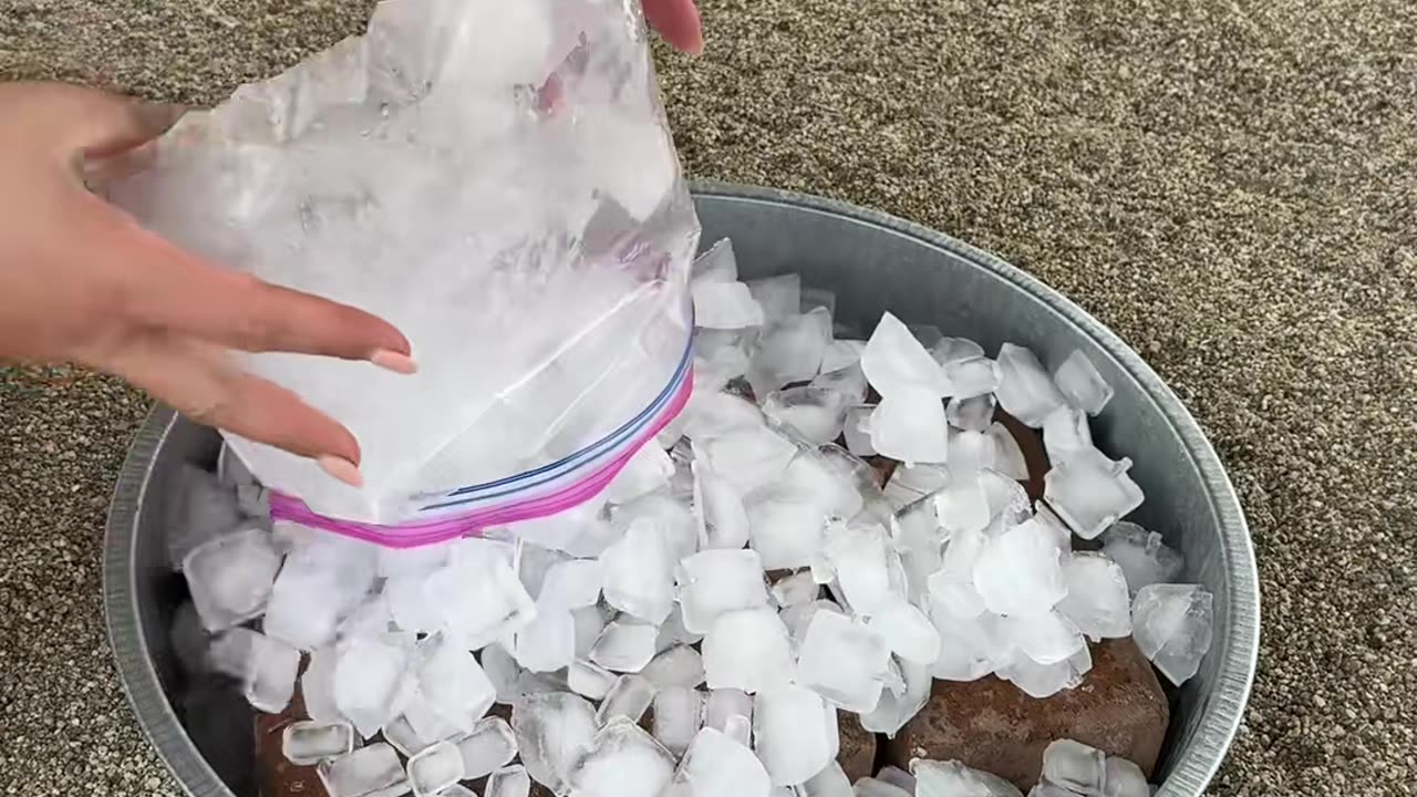 Keep your chickens safe from the heat!