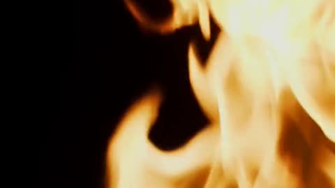 Daily Horoscope | Aries 🌟