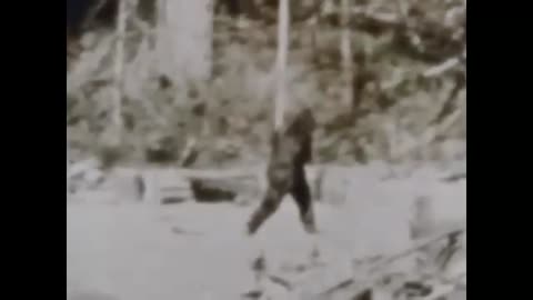 Bigfoot - America's Abominable Snowman Documentary 1968