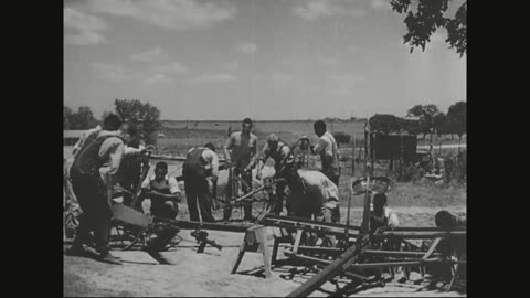 Wings for This Man - Wings for This Man - 342-sfp-151 HD 2Mbps