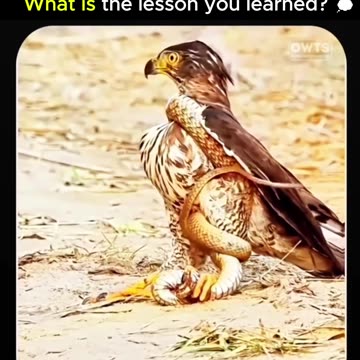 💬 Write in the comments: What lesson shaped you the most?