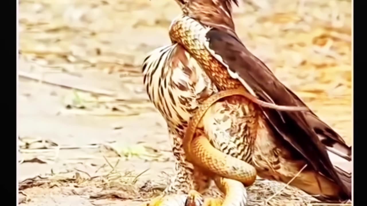 💬 Write in the comments: What lesson shaped you the most?