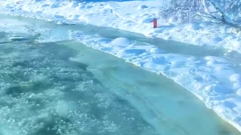 Beautiful view video nature