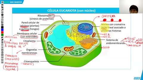 VERANO ADUNI 2024 | Semana 02 | Química | Historia S2 | Filosofía | Biología S2