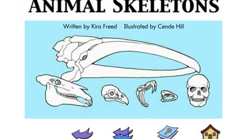 Natural Science: Animal Skeletons