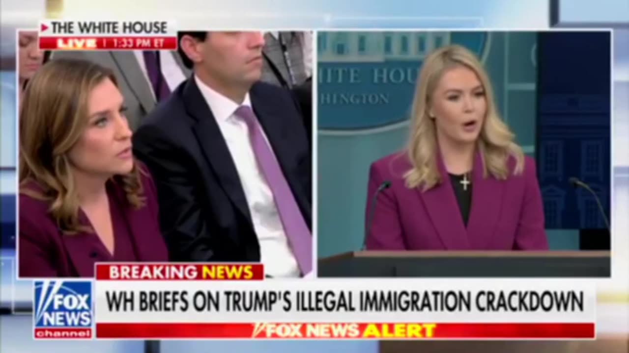 PRESS SEC. LEAVITT STATES ALL ILLEGALS IN THE COUNTRY ARE CRIMINALS