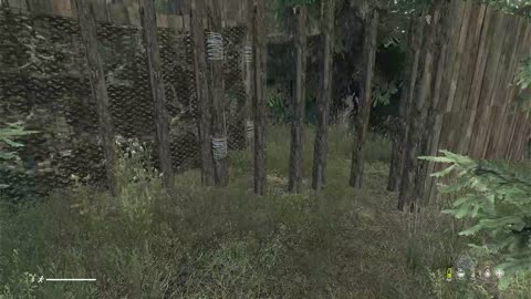 Dayz of PeredaTheOne