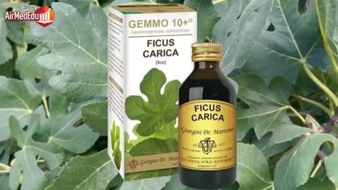 Nutrients in Fig Leaves and Their Action on Specific Organs