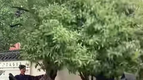 🤯✨ This 8-Second Trick Makes Your Phone Last Longer! | LifeHacksDaily