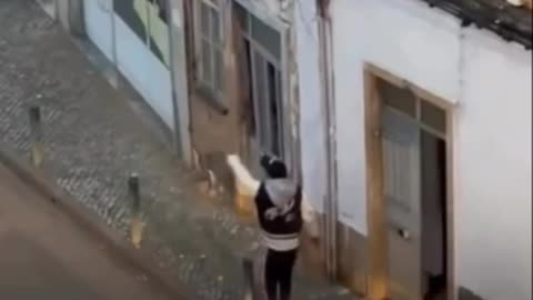 Africano provoca desacatos na via pública. ACORDA PORTUGAL