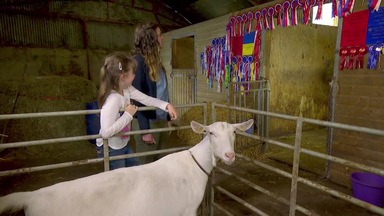 Mi Mascota y Yo - T03E19 - Roxy, la Cabra