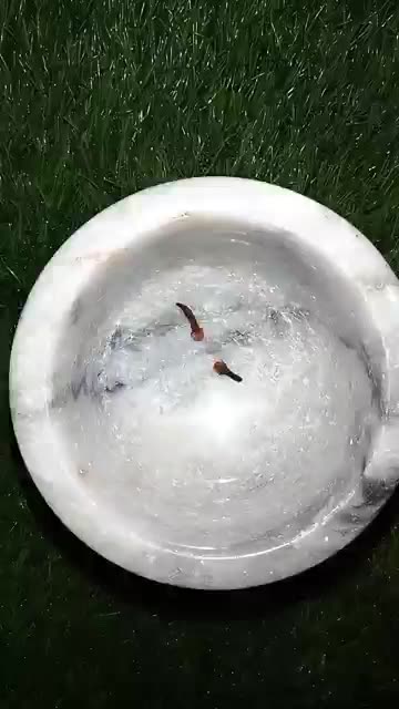 Power of stamina for males