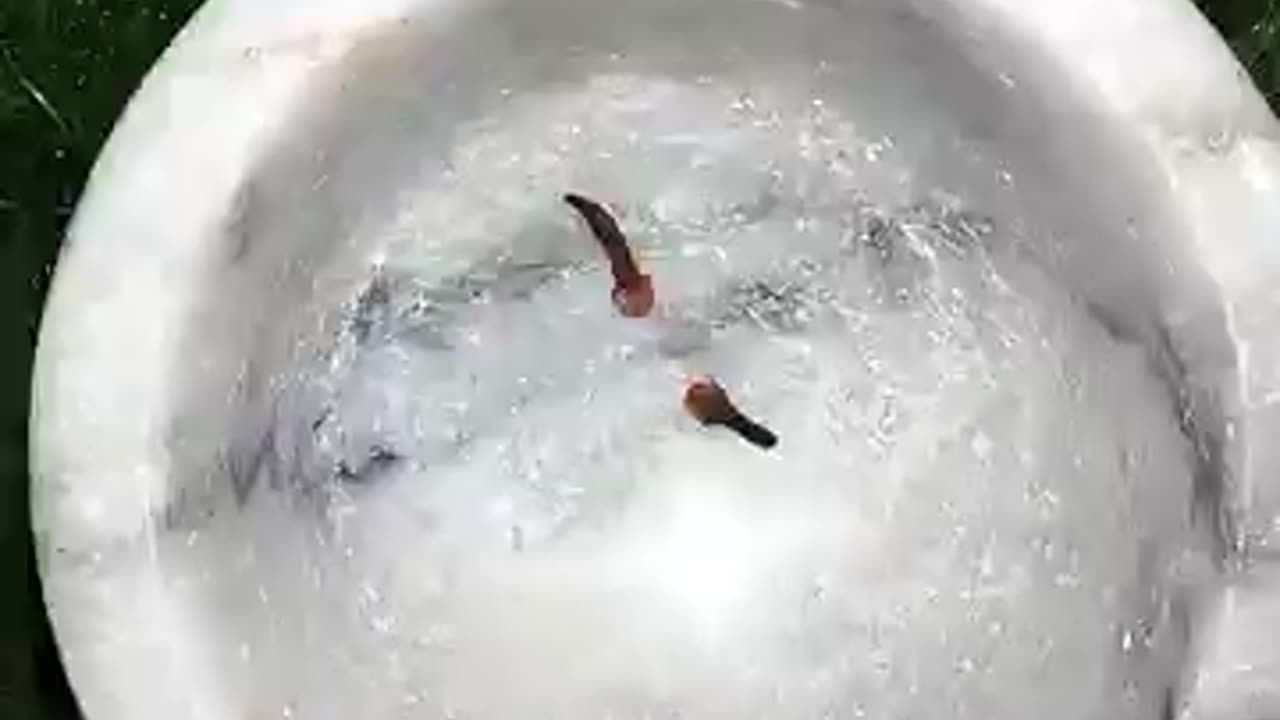 Power of stamina for males