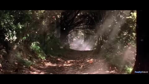 The Lord of the Rings The Fellowship of the Ring (2001) FamilyShield Review