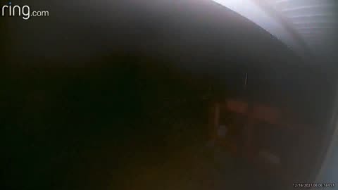 😱👻 You Won't Believe What They Captured! Bug or Orb? | TheHauntingHour
