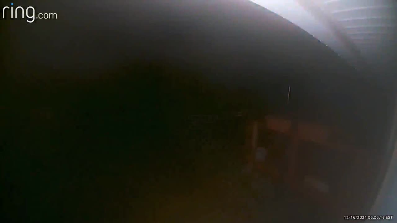 😱👻 You Won't Believe What They Captured! Bug or Orb? | TheHauntingHour