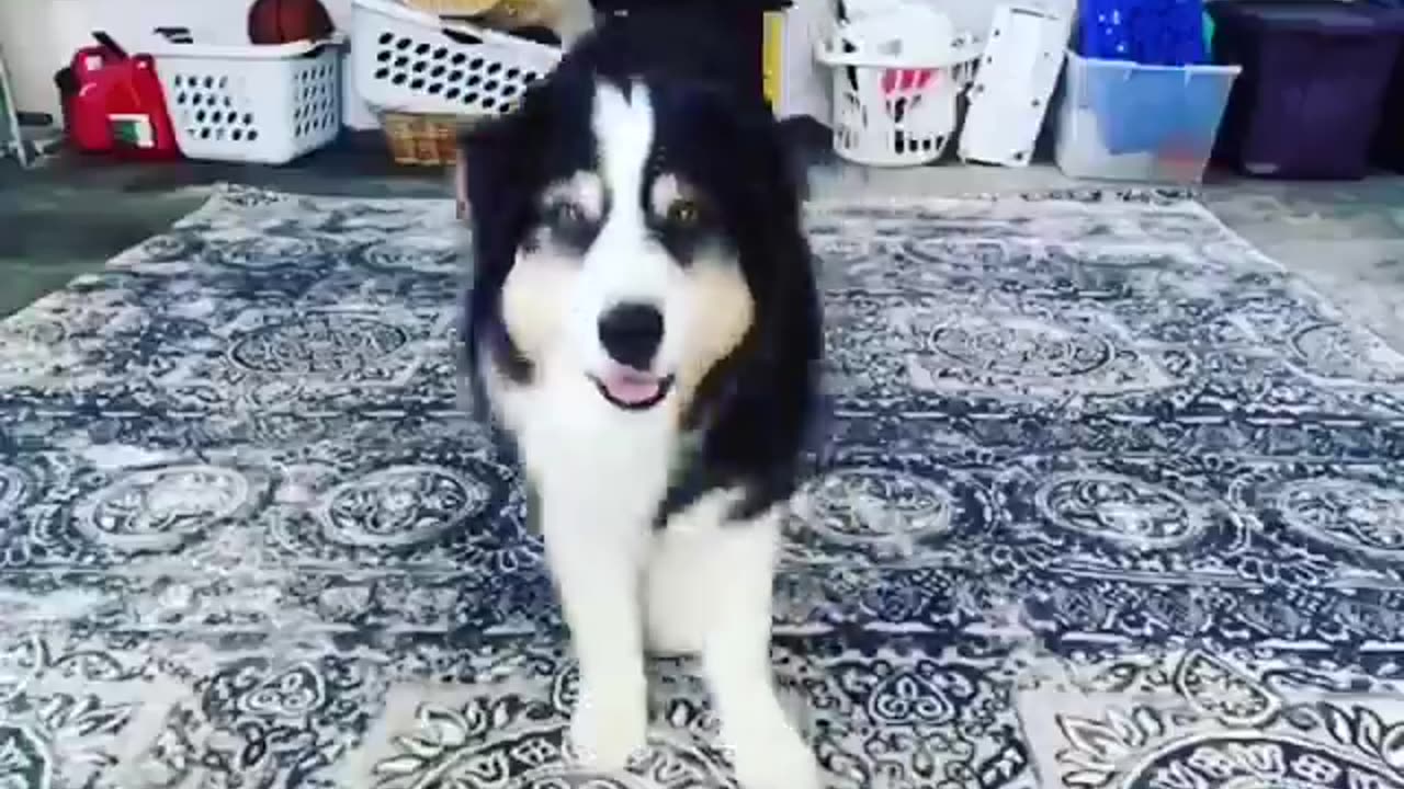 Is this a new star? please comment