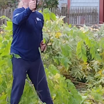 Doing some Fall trimming with a Rope Saw 2