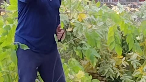 Doing some Fall trimming with a Rope Saw 2