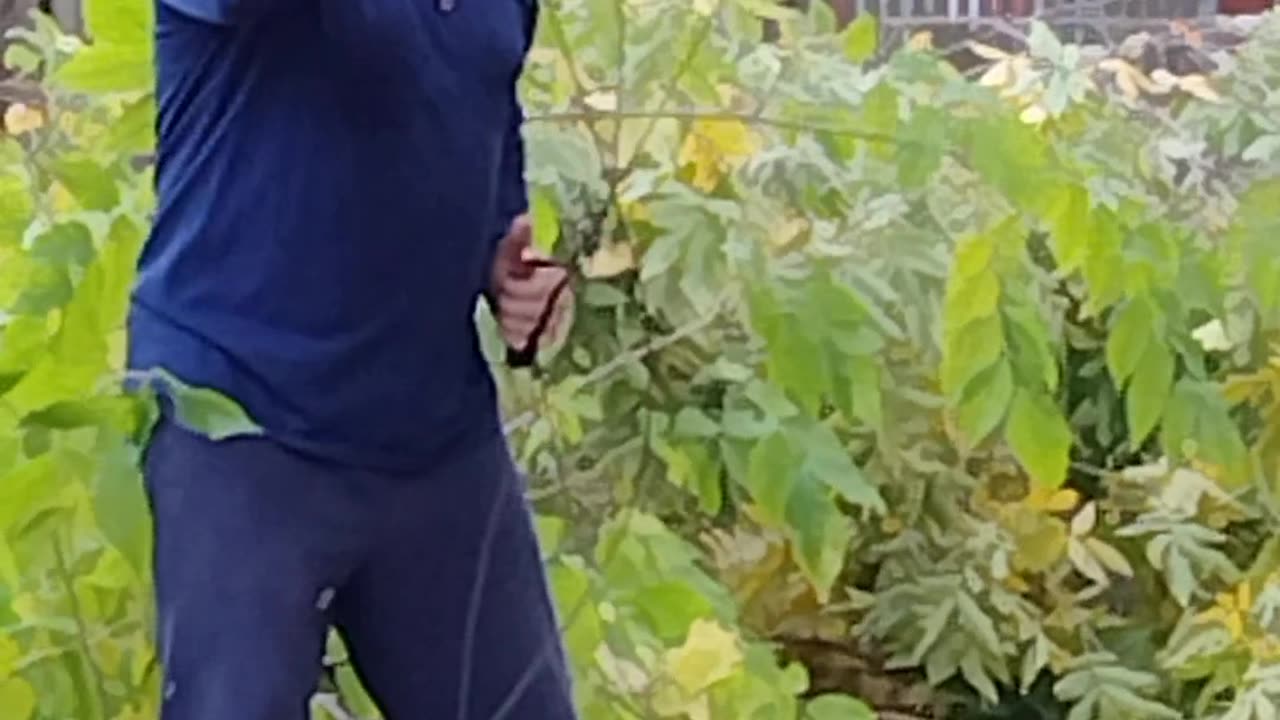 Doing some Fall trimming with a Rope Saw 2