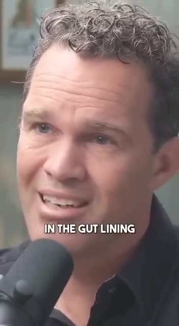 What does Ibuprofen do to your Body