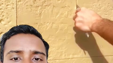 “Africa Stone House – অবিশ্বাস্য পাথর দিয়ে বাড়ি তৈরির কৌশল! 🤯🏠”