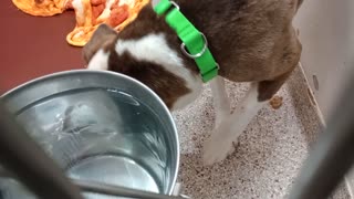 VID_20251126_163552240