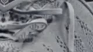 Cena's First Post After Farewell Match