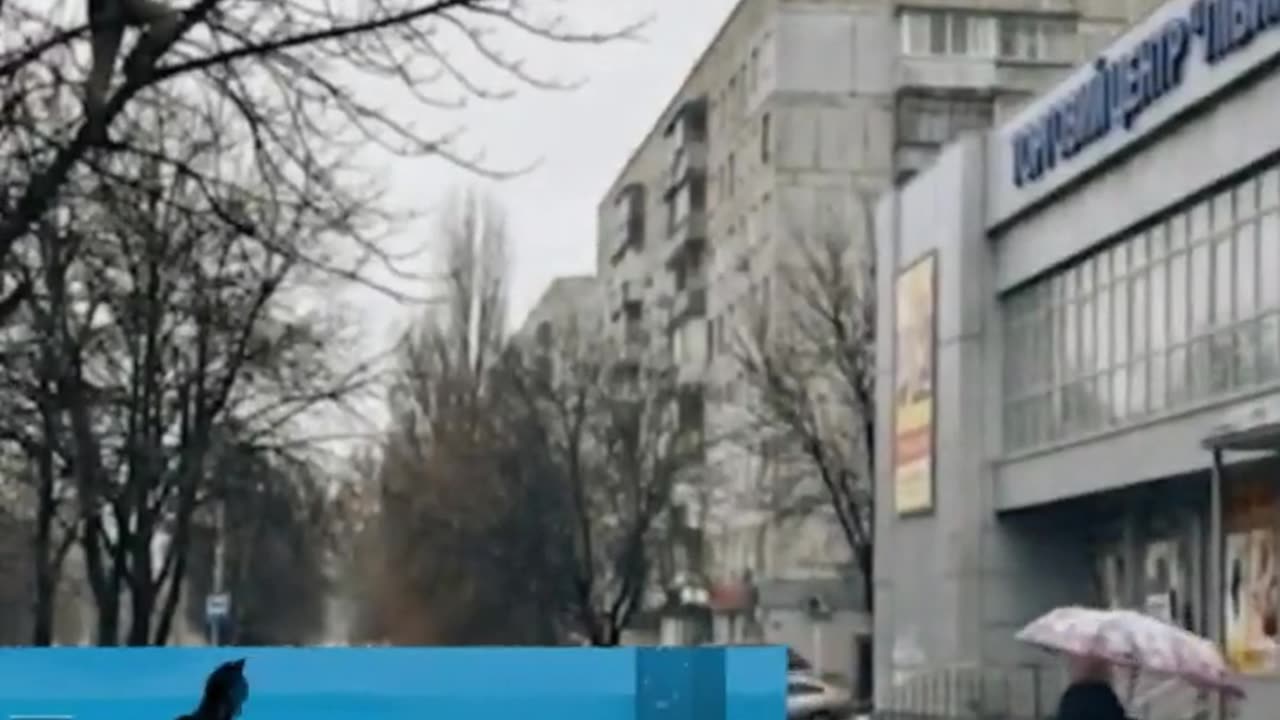 TCK Catches a New Victim – Batman Observing