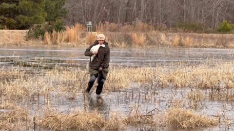 Woman Saves Goose Frozen in Icy Pond