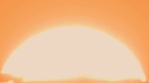 Mental Health: Social Media Detox & Gut Health #shorts