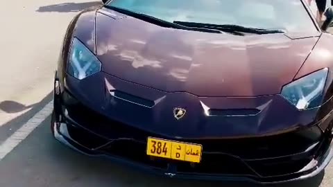 ✨🏎️ Indulge in the ELEGANCE of Luxury Cars in Dubai! | LuxurySportsCars