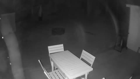 👀🌌 Chilling Footage from My Old Backyard! What Did I Capture? | TheHauntingHour