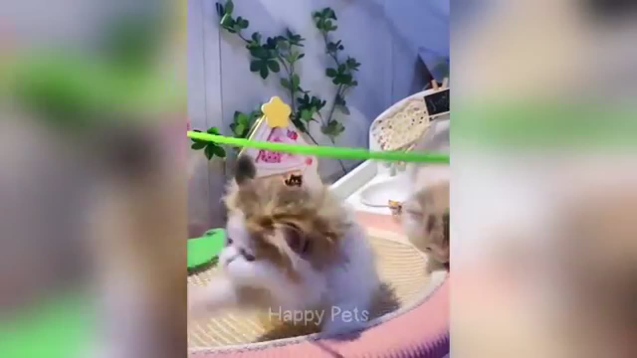 fun