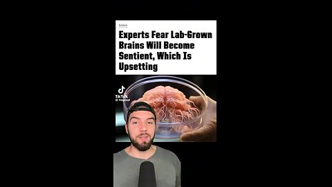 Lab grown brains ?