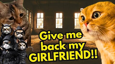 When a Cat Has His Girlfriend Kidnapped by Criminals (Ep.43)